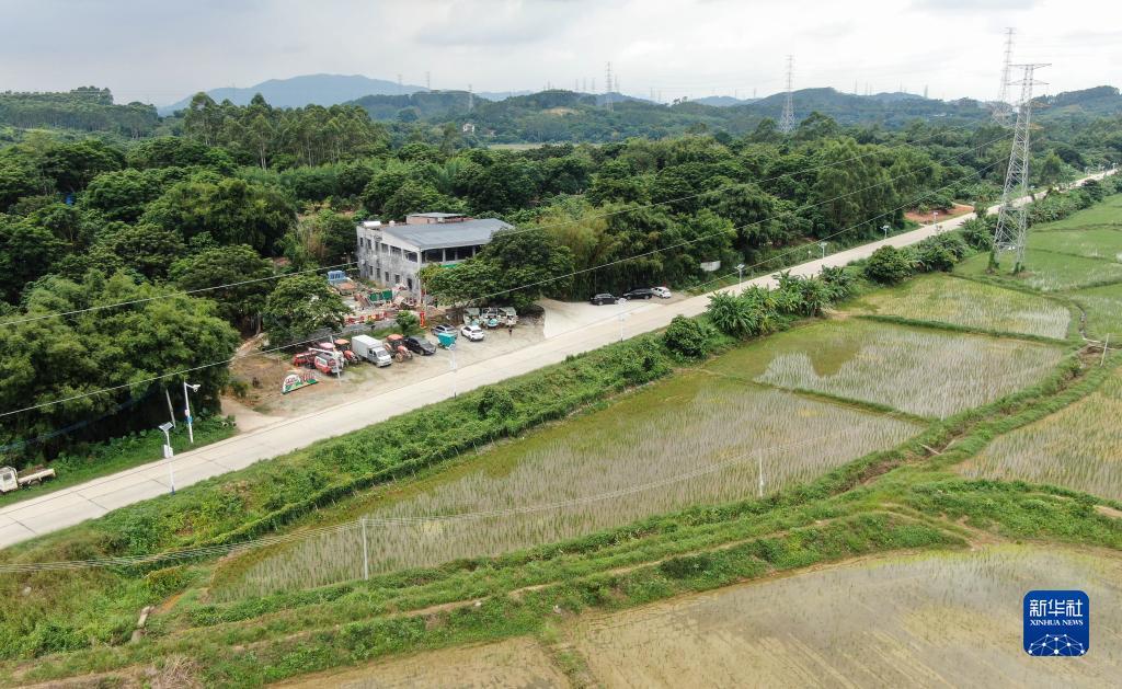 送金币体验玩